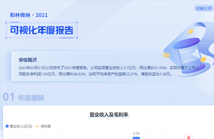 和林闲庄和游戏2021可视化年度报告